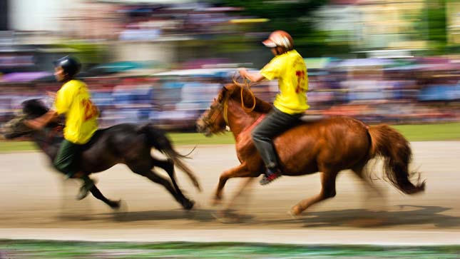 Tầm ngựa trên đường đua Bắc Hà